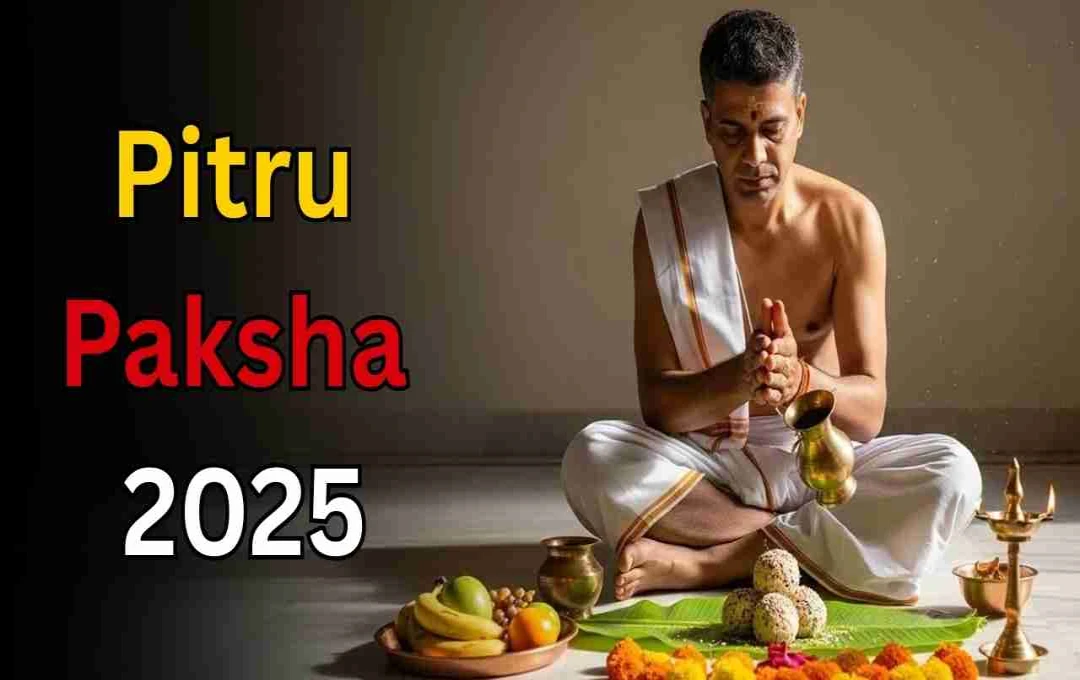 sub17558664231791