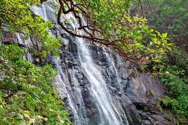 Bee Falls