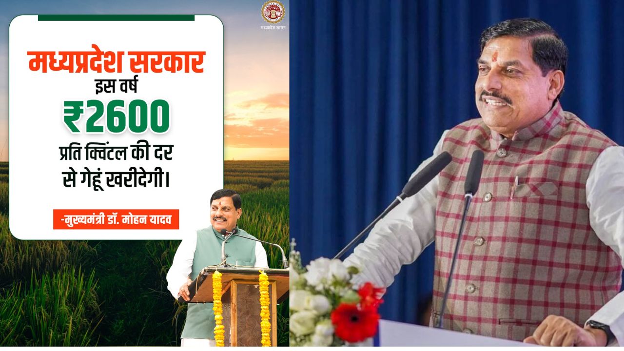 यादव कैबिनेट की बड़ी घोषणा: गेहूं खरीदी पर बोनस, किसानों को होगा फायदा