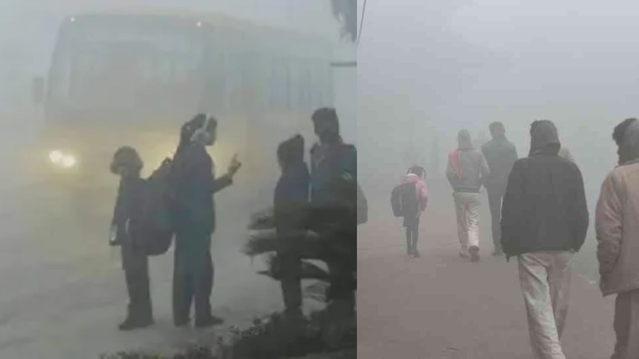 MP Weather अपडेट : राजगढ़, इंदौर, शाजापुर में तेज शीत लहर, भोपाल-इंदौर में बढ़ी ठंड