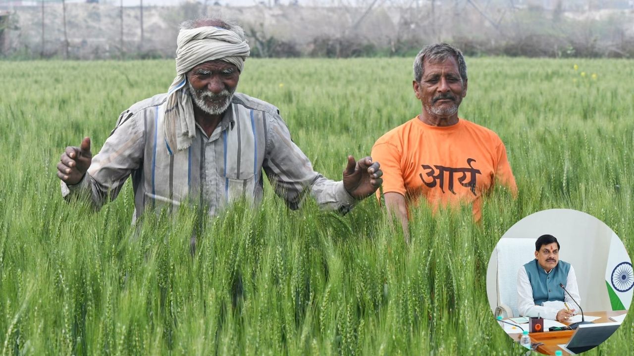 मध्य प्रदेश सरकार ने किसानों को दी सौगात , मुआवज़ा दर 200% से बढ़ाया