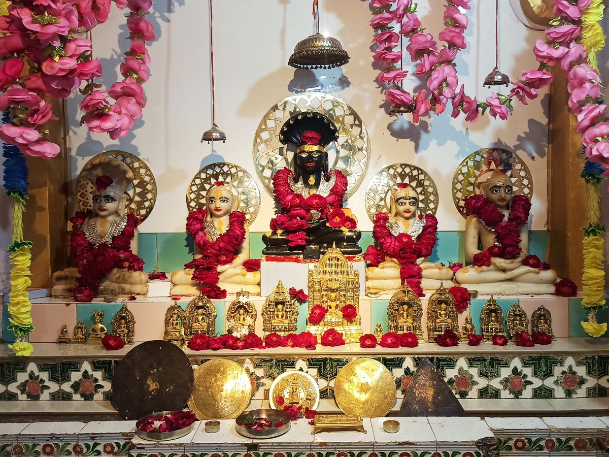 प्रभु पार्श्वनाथ जन्म कल्याणक महोत्सव मेवानगर पेटलावद