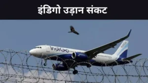581325 indigo 1