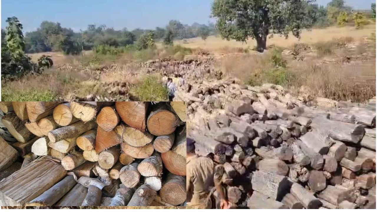 Timber Mafia से Terror Funding तक: MP के जंगलों से निकला 200 करोड़ का काला खेल
