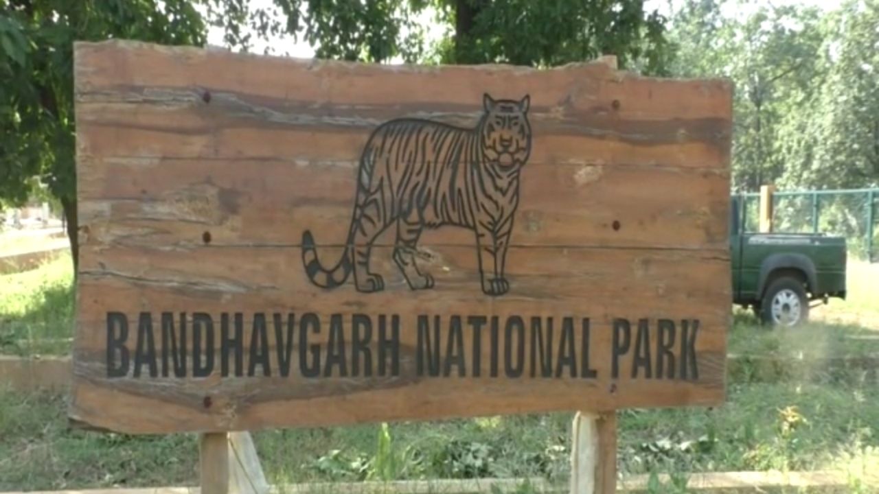 बांधवगढ़ टाइगर रिज़र्व का नया मॉडल: प्रकृति और गांव की सादगी में पर्यटन