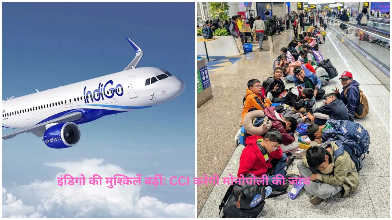 भारतीय एविएशन में बड़ी जांच: Indigo एयरलाइंस पर मोनोपोली का आरोप