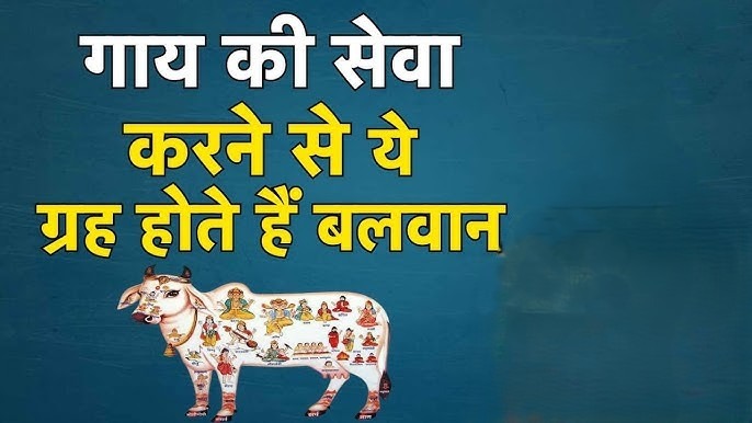 गाय नहीं पाल सकते? गोशाला में दान और सेवा से मिलते हैं चमत्कारी शुभ फल, ग्रह दोष होंगे शांत