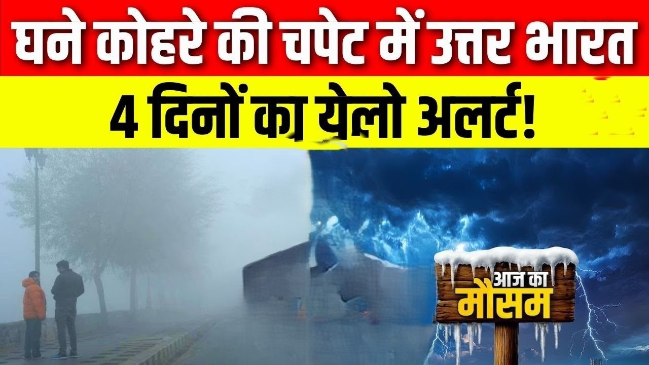 Cold Wave Alert Today 2025: उत्तर भारत में कड़ाके की ठंड, IMD का शीतलहर और कोहरे का अलर्ट
