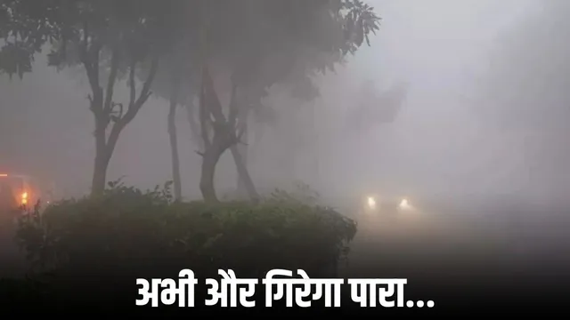 MP में ठंड और कोहरे का असर: शीतल दिन और रेल यातायात प्रभावित