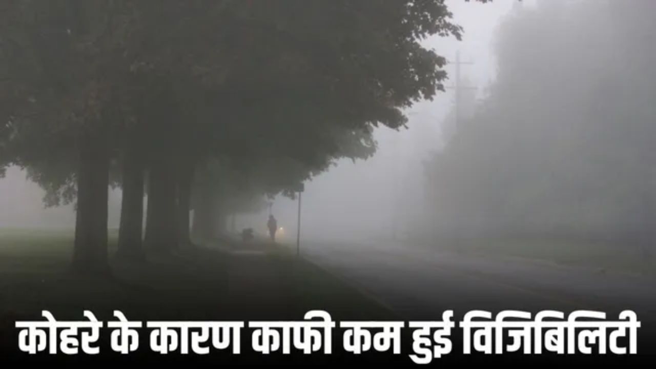 MP Weather Alert: कई जिलों में घना कोहरा, शीतलहर का अलर्ट जारी