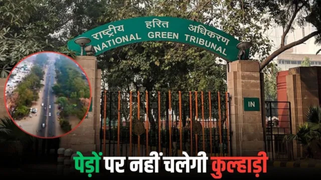 भोपाल में अयोध्या Bypass 10- lane प्रोजेक्ट पर विवाद, नागरिकों ने पेड़ों से चिपकर विरोध जताया