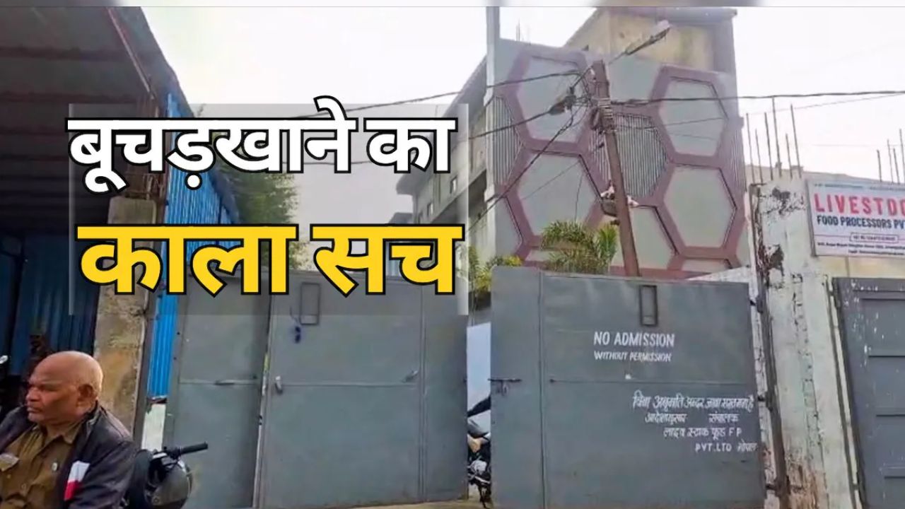 Bhopal स्लॉटर हाउस मामला: खुले में हो रहा भैंसों का वध, जीतू पटवारी ने प्रशासन को घेरा
