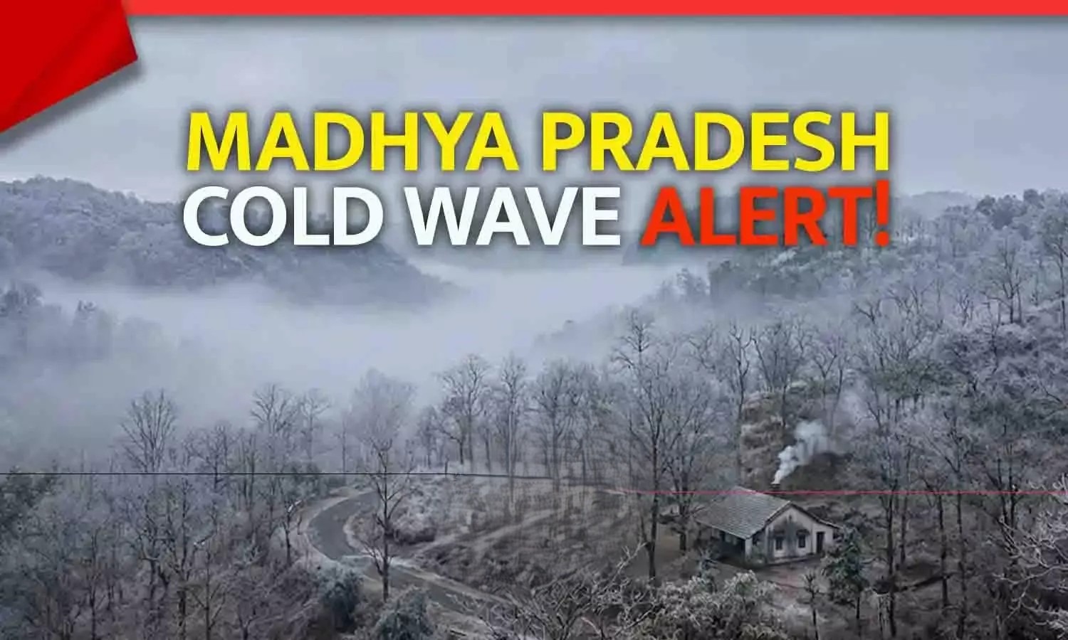 MP Weather Cold Wave causes dense fog and extreme cold across Madhya Pradesh