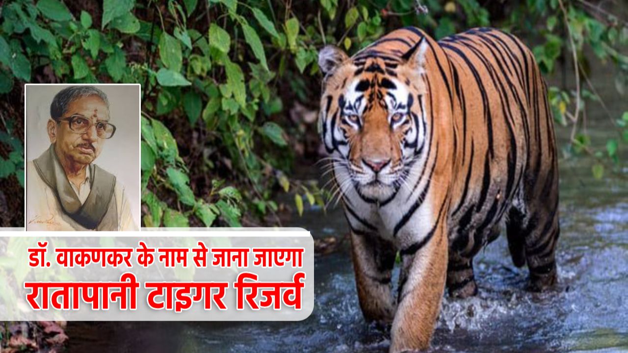 मध्य प्रदेश का Ratapani Tiger Reserve अब डॉ. वाकणकर के नाम से होगा प्रसिद्ध