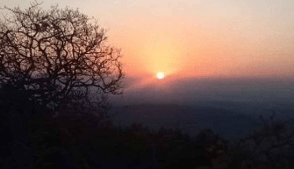 MP Weather Update: मकर संक्रांति पर मौसम साफ धूप ने कोहरे का असर कम किया ग्वालियर-चंबल में ठंड ज्यादा महसूस