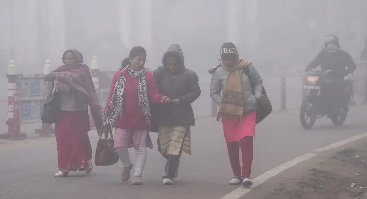 ठंड का डबल अटैक: MP में कोहरा और बादल, अगले 48 घंटे में बारिश के आसार