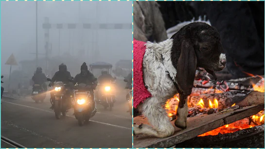MP Weather: ठंड और कोहरे का कहर जारी शीतलहर अगले 3 दिनों तक जारी रहने की संभावना