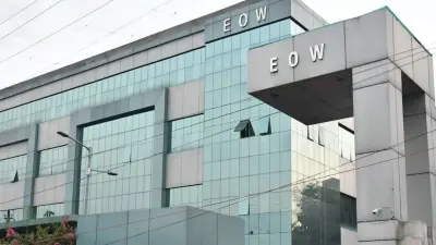 EOW MP