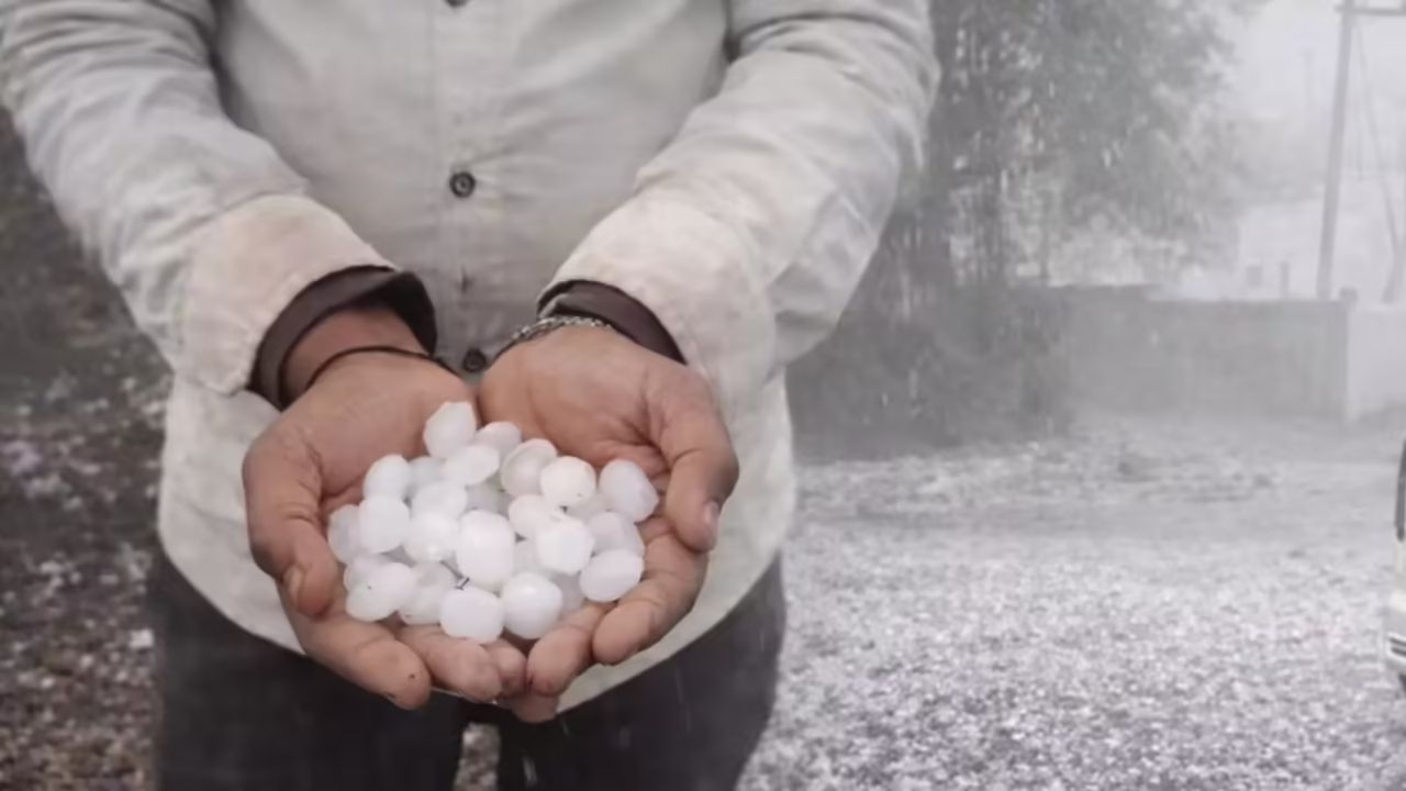 Shajapur Weather Update: Heavy Hailstorm Causes Major Disruptions, Farmers Hit Hard