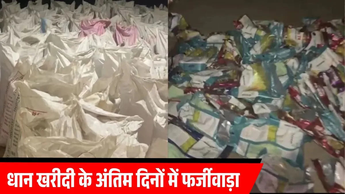 अंबिकापुर में MSP पर धान घोटाला: 121 क्विंटल कालातीत बीज जब्त