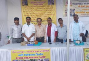 Jain Star Group Majhgawan Organizes 40th Animal Welfare Camp on Makar Sankranti – Children and Volunteers Participate
