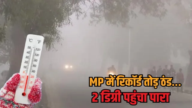 MP में कोहरे और कड़ाके की ठंड