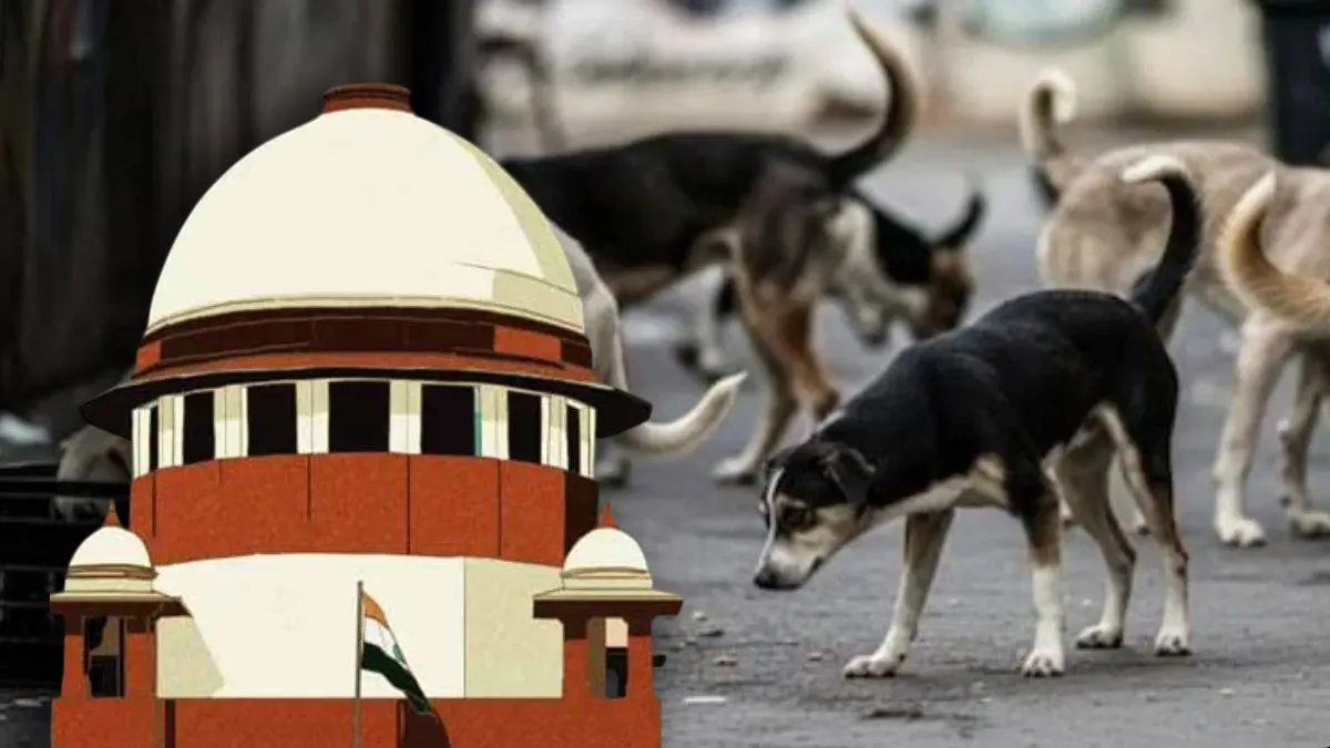 Supreme Court में  स्ट्रीट डॉग्स पर बड़ी बहस: न्यायालय ने कहा डरने वालों को सूंघ कर हमला करते हैं आवारा कुत्ते