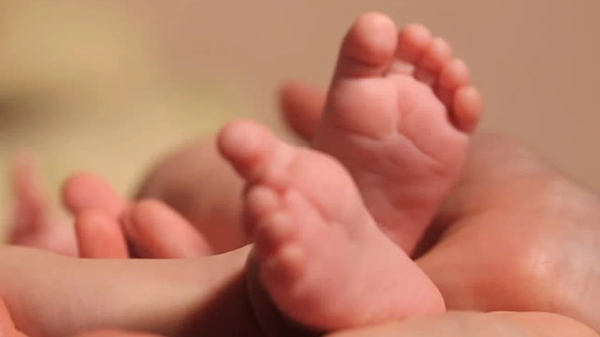 सावधानता से टली अनहोनी: Satna Newborn Baby Case में बच्चों की समझदारी से बची नवजात की जान