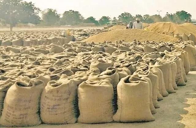 Mauganj Rice Scam  : 3000 क्विंटल उच्च गुणवत्ता वाली धान गायब, 70 लाख का नुकसान; यूपी से सड़ी-गली धान मंगाई जा रही