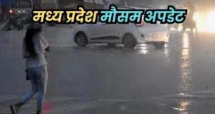 MP Weather