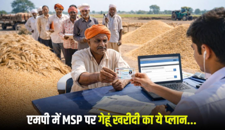 MP MSP