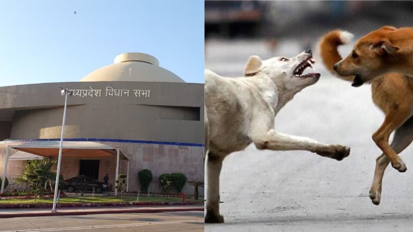 MP विधानसभा में हंगामा: आवारा कुत्तों पर बहस, सत्ता-विपक्ष में तीखी नोकझोंक