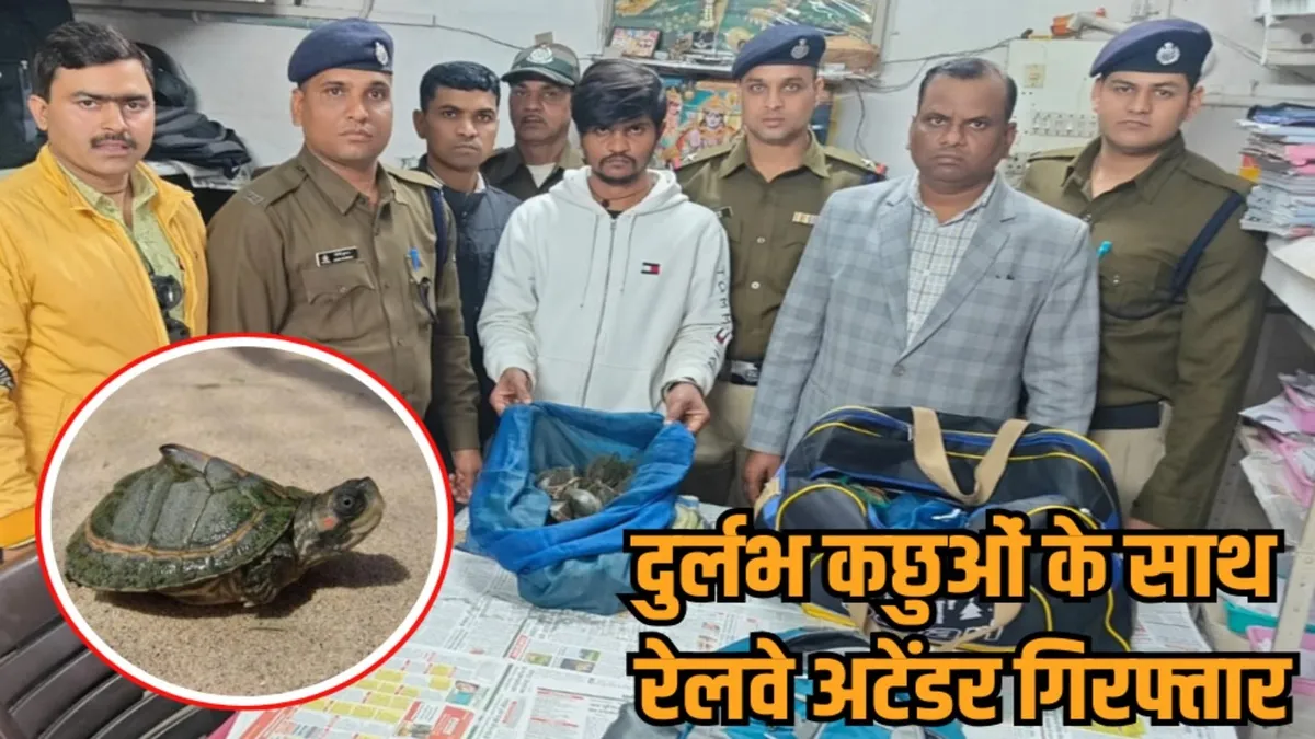 Bhopal में ट्रेन से कछुओं की तस्करी, कोच अटेंडर के बैग से 311 इंडियन टेंट टर्टल बरामद, इंदौर-देवास सप्लाई रोकी
