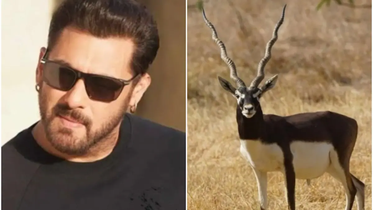 Rajasthan High Court to Hear Salman Khan’s Blackbuck Appeal, Verdict Expected
