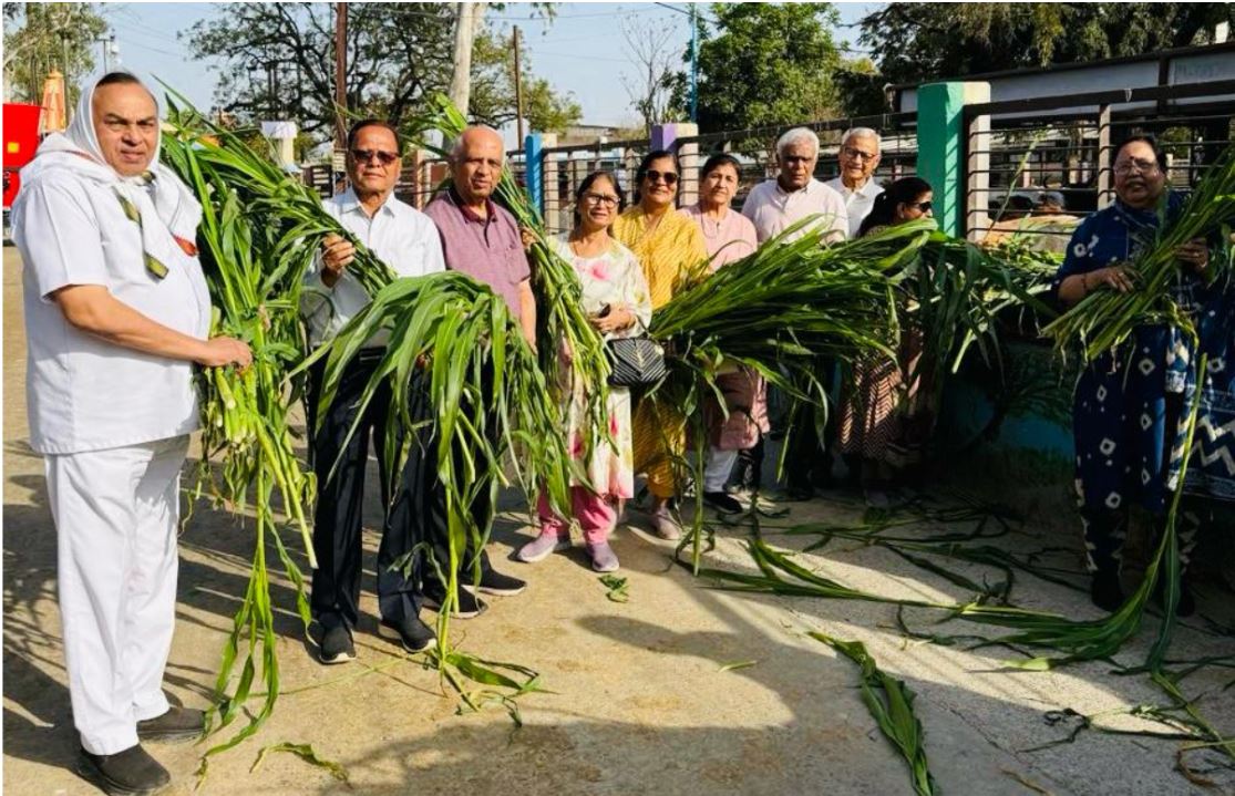 भारतीय संस्कृति में गौसेवा की महत्ता: Gudi Padwa पर फाउंडेशन ने किया प्रेरक कार्य