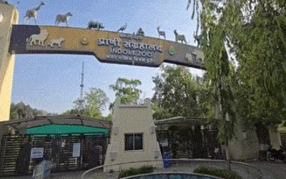 INDORE ZOO