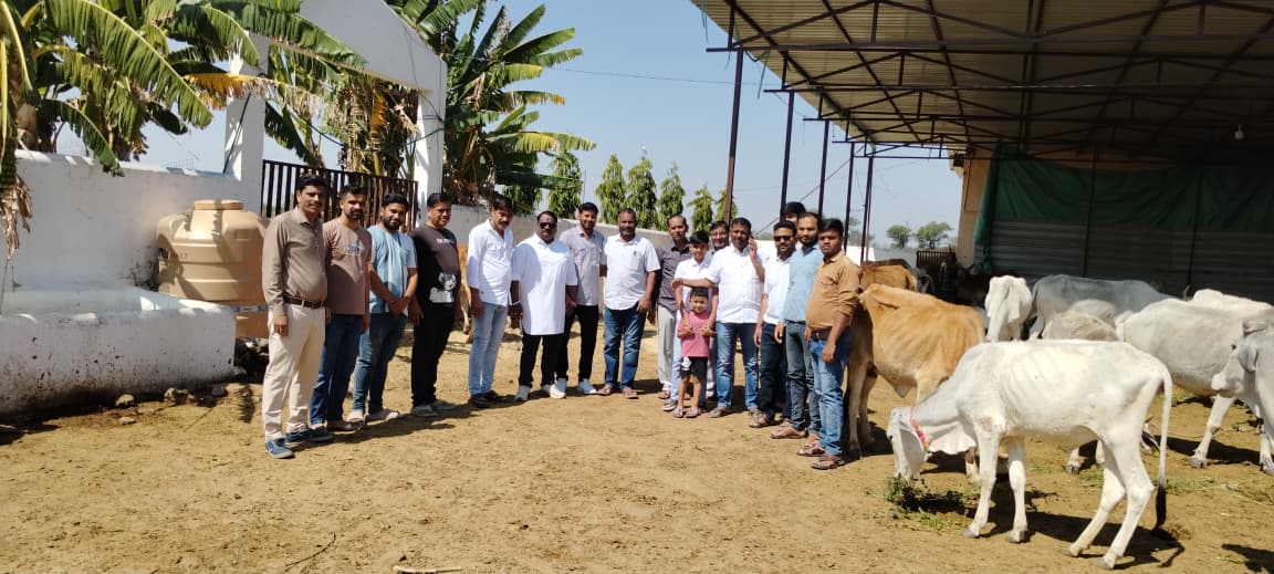 भव्य और प्रेरणादायक कार्य: गोगापुर गौशाला में गौ सेवा कर चोरड़िया परिवार ने सैकड़ों गायों को कराया हरा चारा भोजन