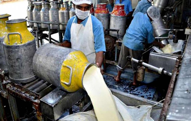 Indore Dairy Union Clarifies Farmers’ Demands, Announces Milk Price Hike, Dividend Payments, Assures Fair Practices and Continued Supply