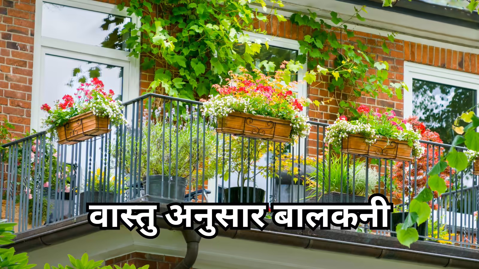 Balcony Vastu Tips: घर की बालकनी कैसी होनी चाहिए? इन जरूरी वास्तु नियमों से आएगी सकारात्मक ऊर्जा, सुख-समृद्धि और खुशहाली