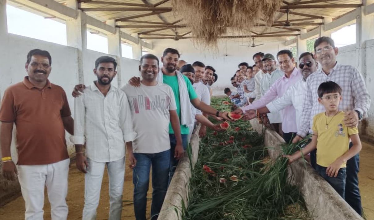 गोगापुर गौशाला में Suresh Chandra Chattar’s की 11वीं पुण्यतिथि पर गौ सेवा और स्वामी वात्सल्य कार्यक्रम श्रद्धा भाव से संपन्न हुआ