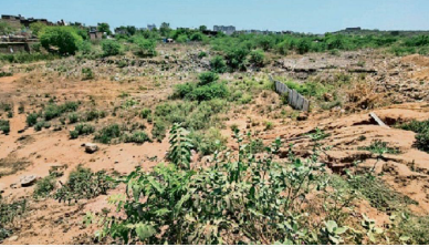 Gwalior में सचिन तेंदुलकर मार्ग पर विकसित होगी नई चौपाटी, इंदौर की तर्ज पर बनेगा आधुनिक स्ट्रीट फूड हब