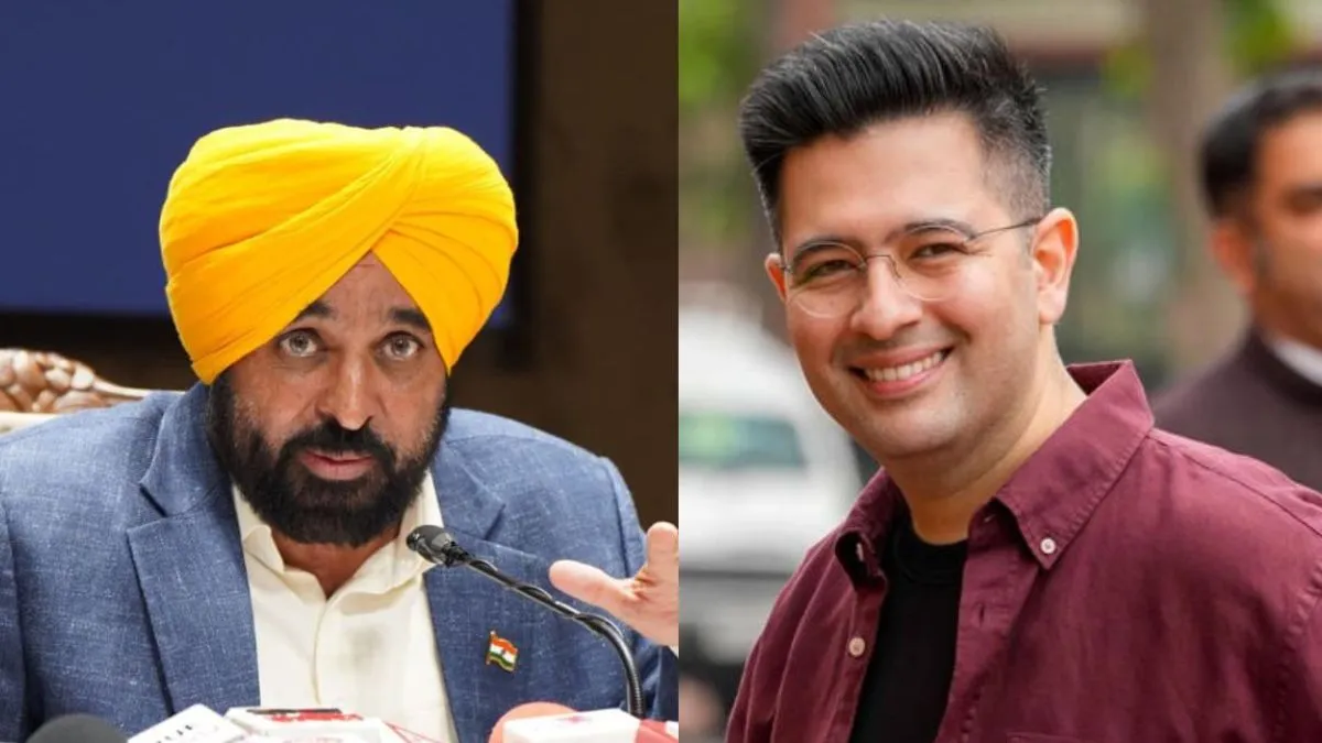 पंजाब CM Bhagwant Mann का प्रतीकात्मक बयान: “मसाले मिलकर सब्जी बनाते हैं, अकेले नहीं”