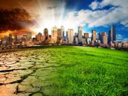 Green Infrastructure को भूलने का नतीजा: देश में बढ़ रही हीट वेव, पर्यावरणविद् प्रो. ज्याणी की चेतावनी