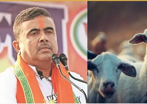 West Bengal में ईद-उल-अजहा से पहले पशु वध पर सख्त नियम, फिटनेस सर्टिफिकेट अनिवार्य