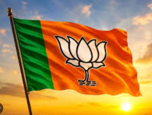 MP से BJP सांसद को मिल सकती है राष्ट्रीय स्तर पर बड़ी जिम्मेदारी, पत्नी के सोशल मीडिया पोस्ट से मचा सियासी बवाल