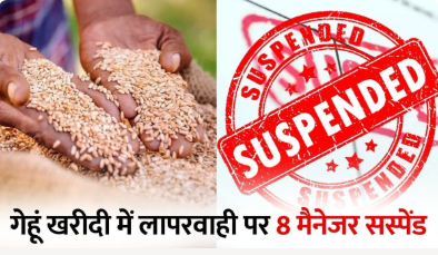 MP Gehu Kharidi: टीकमगढ़ में गेहूं खरीदी में लापरवाही पर बड़ा एक्शन, 4 समितियों के 8 मैनेजर सस्पेंड