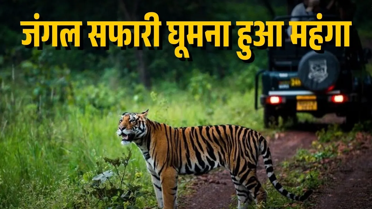 Raipur Nandanvan Jungle