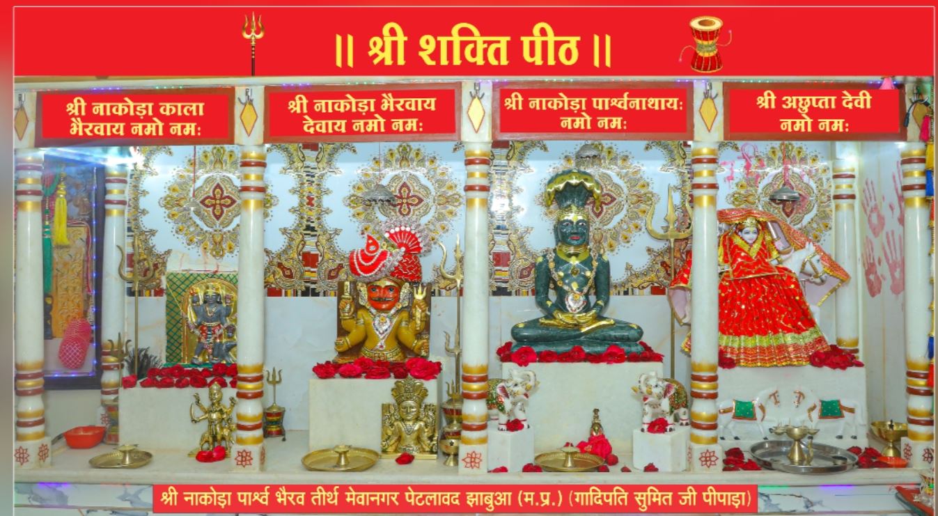 आचार्य श्री विश्वरत्न सागर महाराज का 15 मई को Petlawad में भव्य मंगल प्रवेश, 17 मई को होगा वरघोड़ा और महामांगलिक