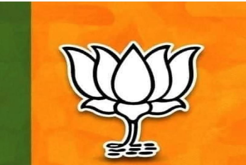 इंदौर में BJYM जिला अध्यक्ष चयन को लेकर संगठन में घमासान, 3 नामों की पैनल तैयार, कई दिग्गज रेस से बाहर