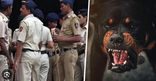 Indore में कुत्ते को लेकर भड़का विवाद, भाजपा से जुड़े नेता समेत 7 पर हत्या के प्रयास का मामला दर्ज